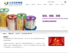 臺州網(wǎng)站建設|臺州網(wǎng)站制作|高端網(wǎng)站設計【臺州盈世網(wǎng)絡】