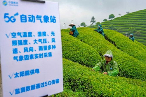 助力共同富裕 中國移動在世界互聯網大會上發布五項創新方案，賦能臺州數字化建設